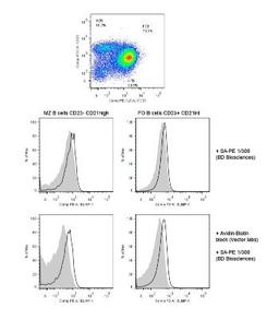 Flow Cytometry: BLIMP1/PRDM1 Antibody (3H2-E8) [NB600-235] - Analysis using the Biotin conjugate of NB600-235. Staining of Blimp-1 in mouse spleen. Image courtesy of product review by Branislav Krljanac.