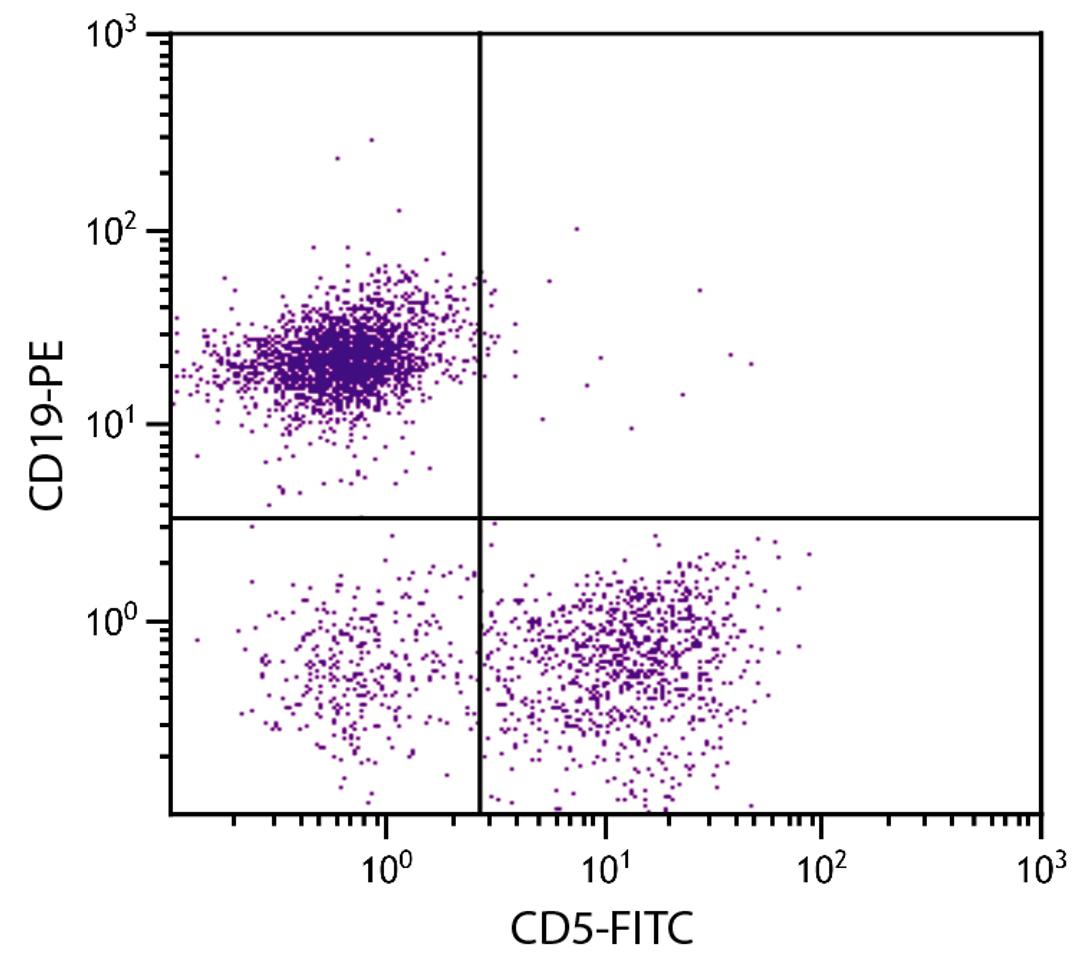 BALB/c mouse splenocytes were stained with Rat Anti-Mouse CD5-FITC (Cat. No. 98-609) and Rat Anti-Mouse CD19-PE .