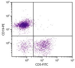 BALB/c mouse splenocytes were stained with Rat Anti-Mouse CD5-FITC (Cat. No. 98-609) and Rat Anti-Mouse CD19-PE .