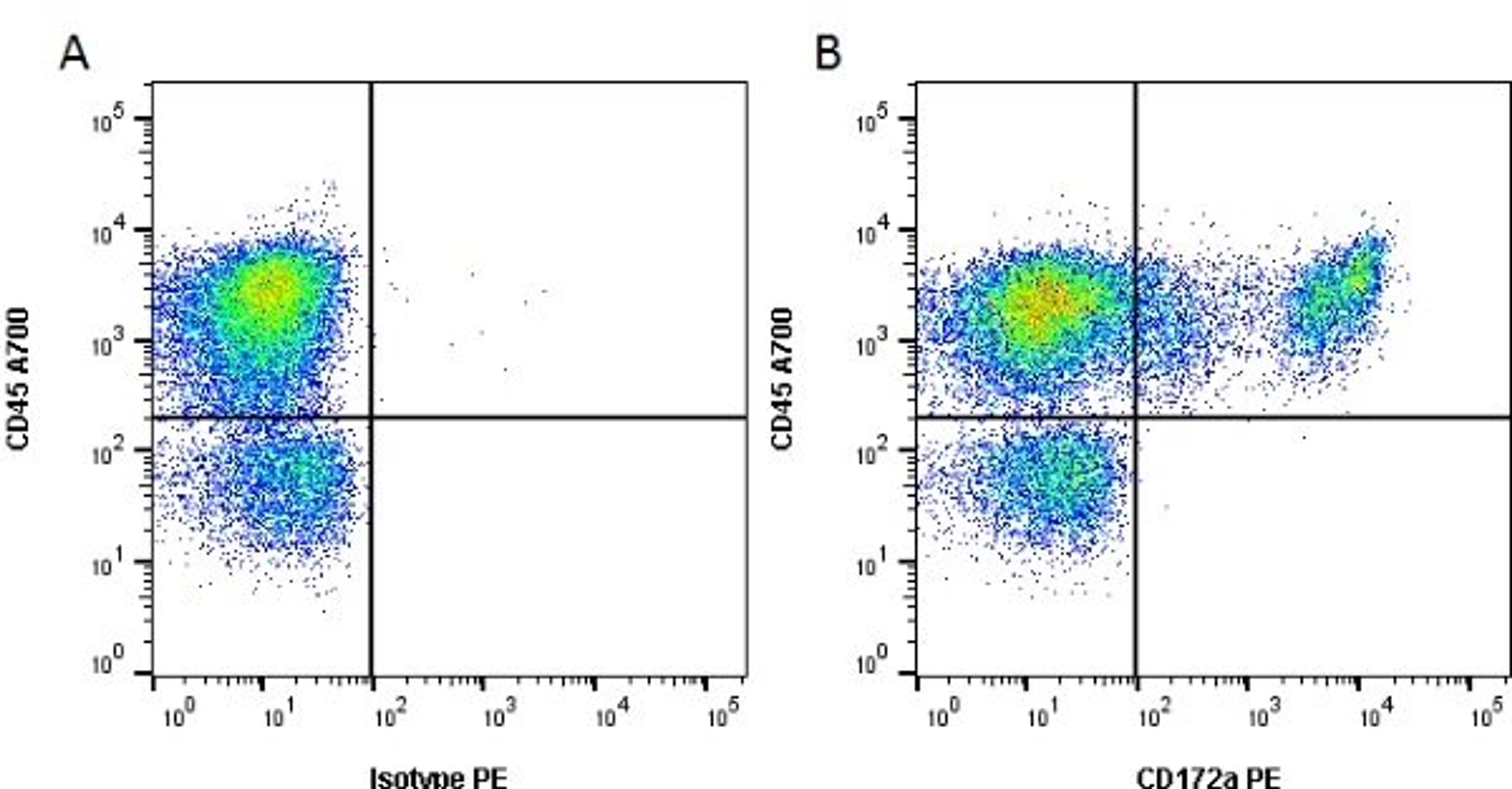 Figure A. Mouse anti Rat CD45. Figure B. Mouse anti Rat CD45 andMouse anti Rat CD172a.