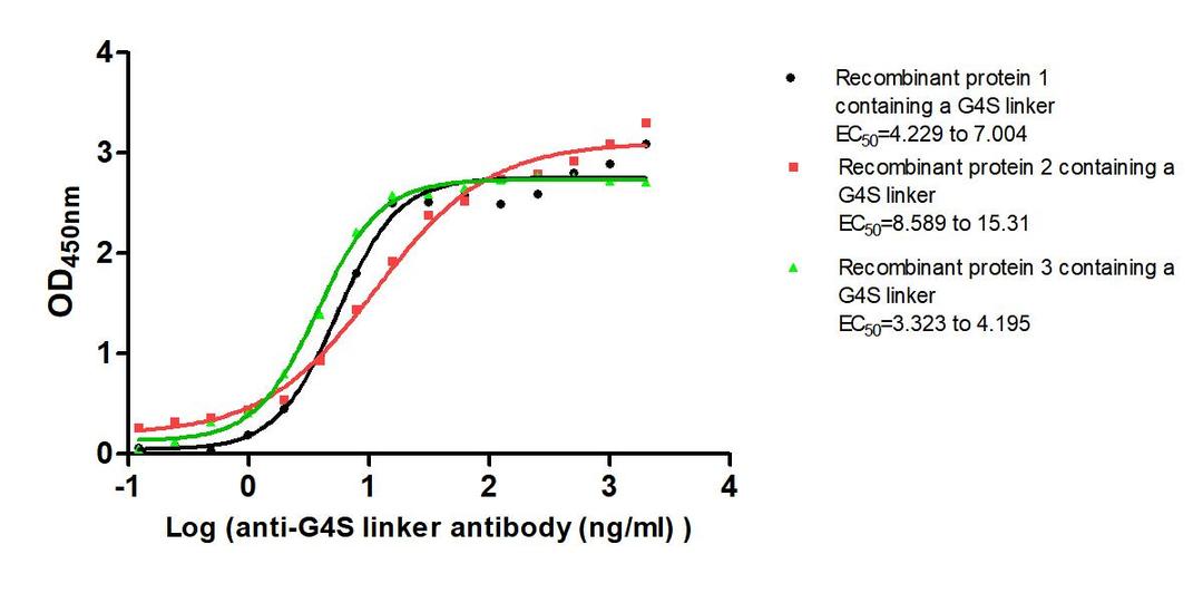 The Binding Activity of G4S linker with Anti-G4S linker antibody. Activity: Measured by its binding ability in a functional ELISA. Immobilized Three recombinant proteins containing G4S linker at 2 μg/mL can bind Anti-G4S linker antibody. The EC<sub>50</sub> is 4.229 to 7.004 ng/mL, 8.589 to 15.31 ng/mL and 3.323 to 4.195 ng/mL.
