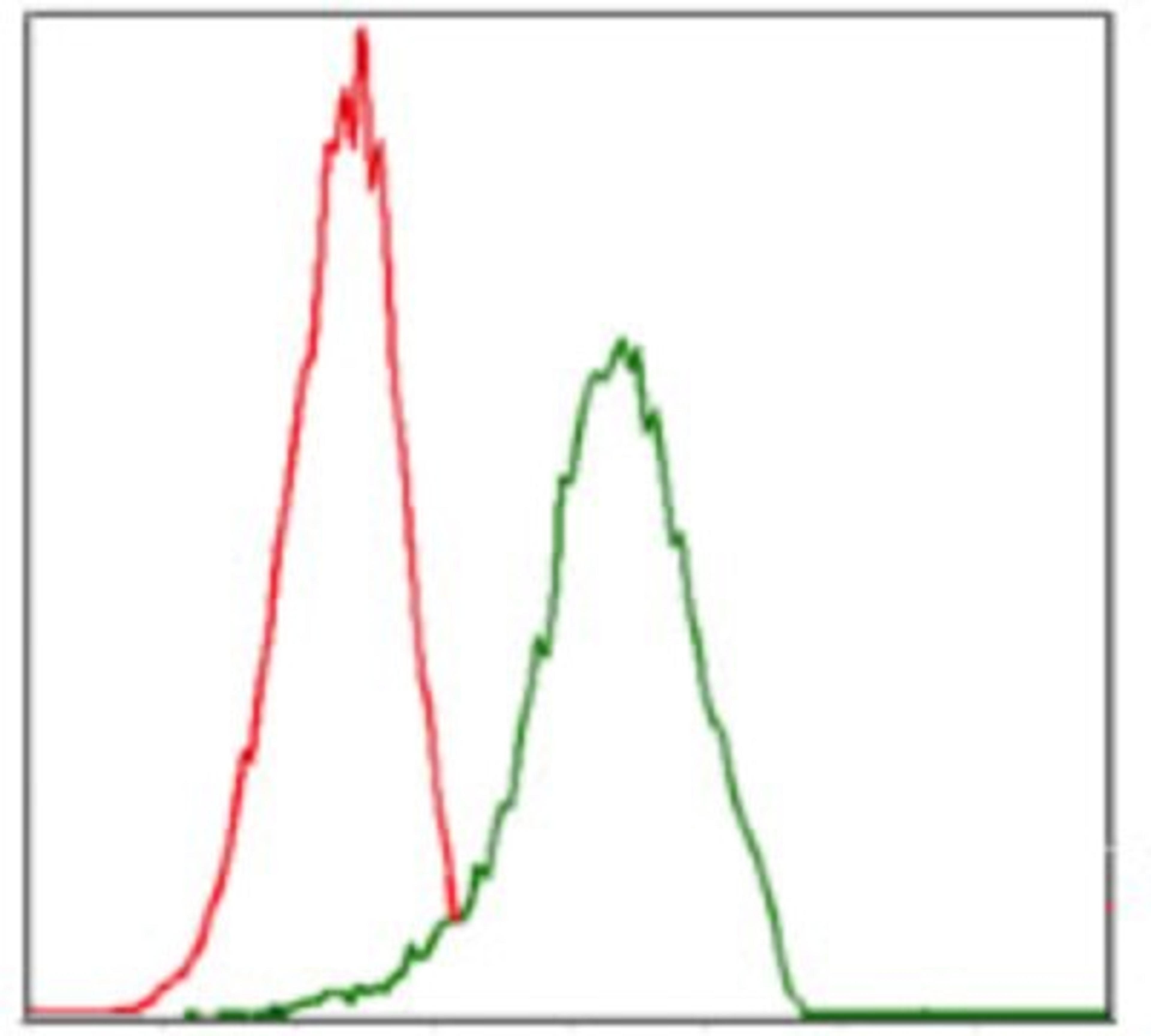 Flow Cytometry: Integrin alpha 4/CD49d Antibody (5C4) [NBP2-37503] - Flow cytometric analysis of Jurkat cells using ITGA4 mouse mAb (green) and negative control (red).