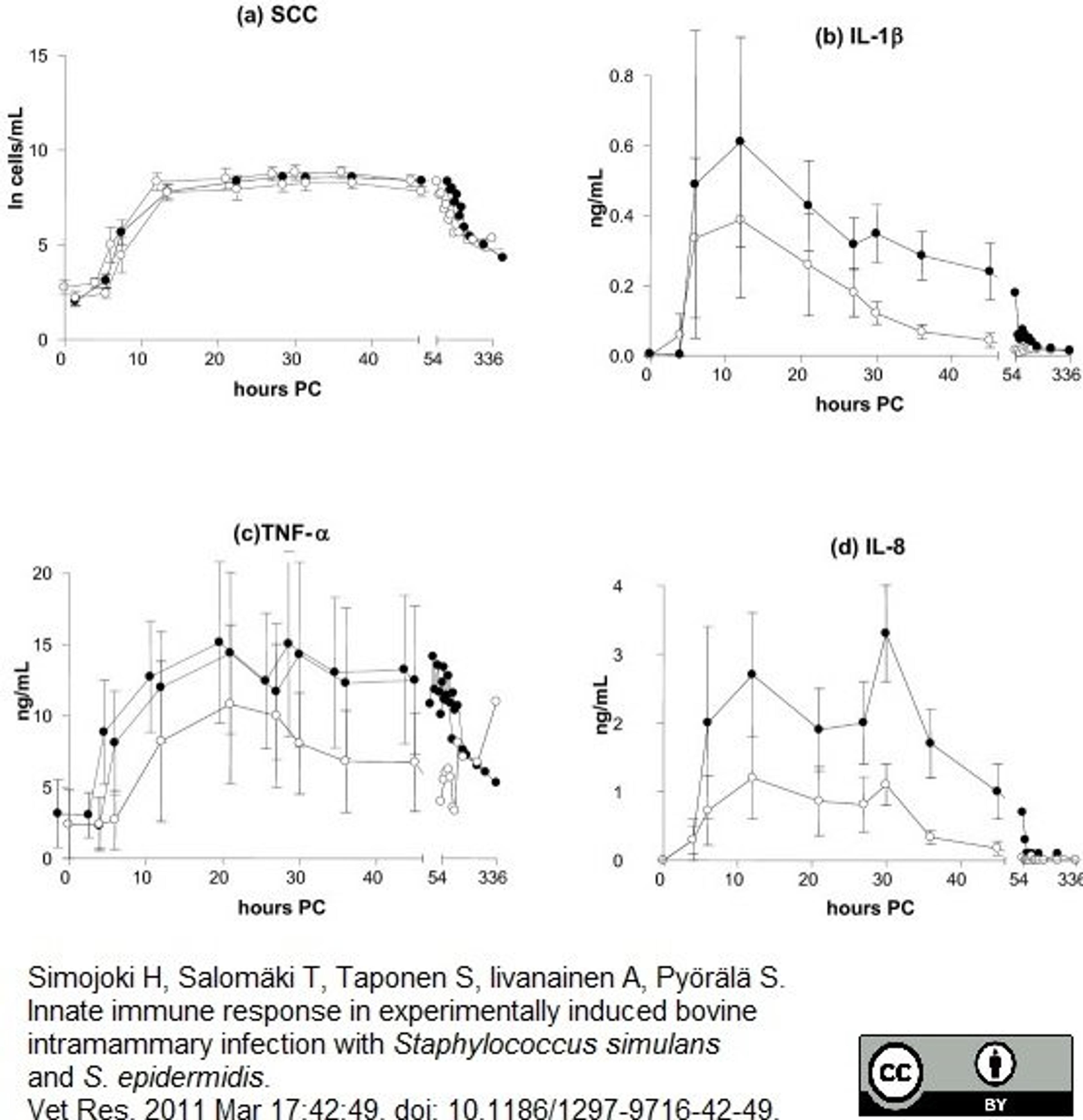 Biotinylated Rabbit anti Bovine interleukin 1beta used for the detection of IL-1beta