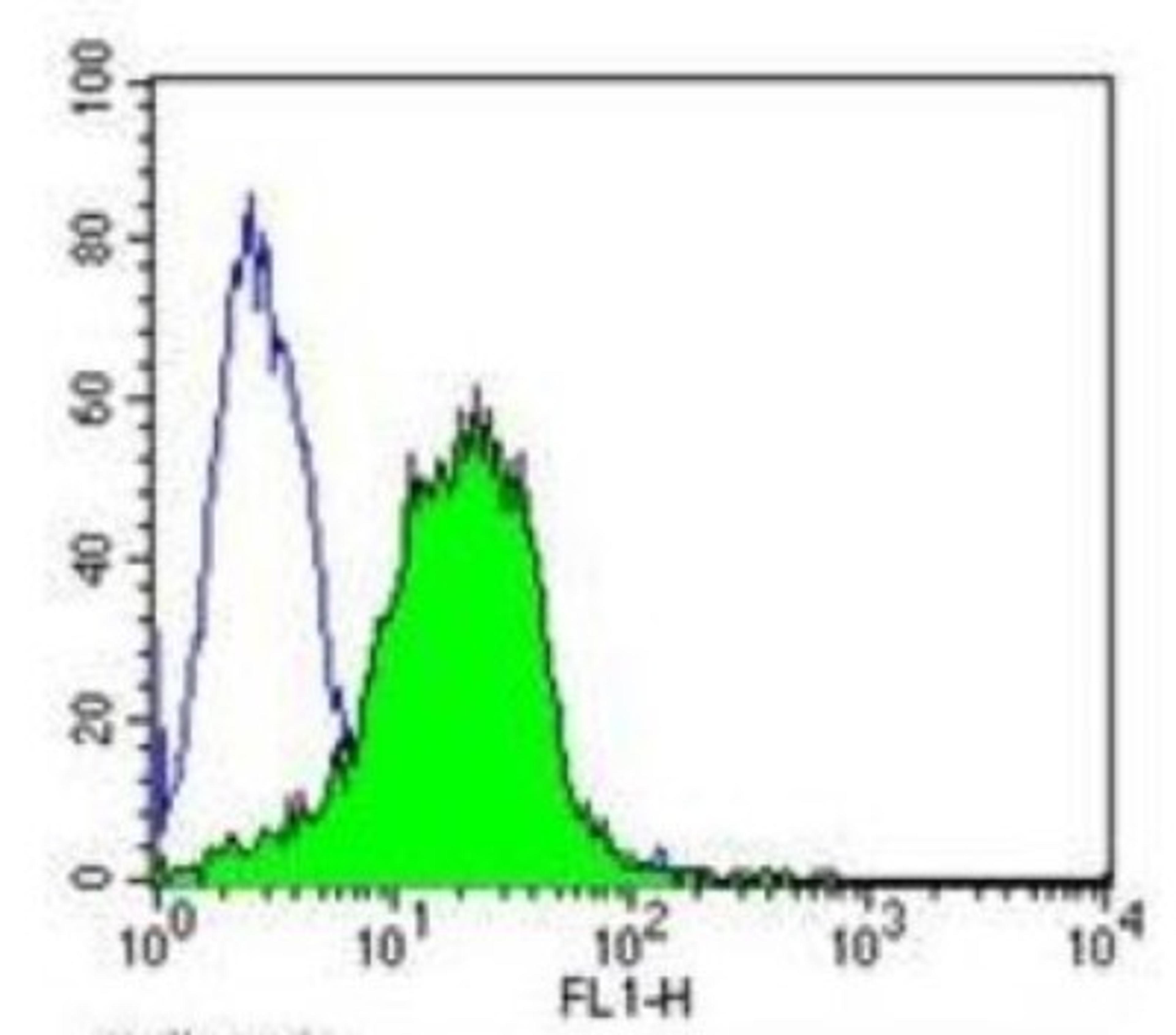 Flow Cytometry: AHR Antibody (RPT9) [NB300-515] - Analysis of Aryl Hydrocarbon Receptor in Hela cells compared to an isotype control (blue).