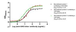 The Binding Activity of G4S linker with Anti-G4S linker antibody. Activity: Measured by its binding ability in a functional ELISA. Immobilized Three recombinant proteins containing G4S linker at 2 μg/mL can bind Anti-G4S linker antibody. The EC<sub>50</sub> is 10.03 to 17.44 ng/mL, 22.60 to 28.76 ng/mL and 6.478 to 10.27 ng/mL.