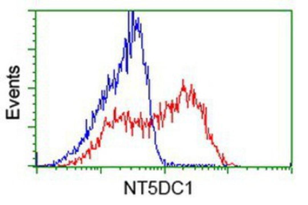 Flow Cytometry: NT5DC1 Antibody (1E11) [NBP2-02914] - HEK293T cells transfected with either overexpression plasmid (Red) or empty vector control plasmid (Blue) were immunostained by anti-NT5DC1 antibody, and then analyzed by flow cytometry.