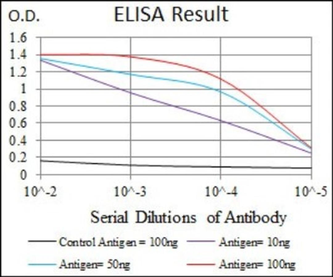 ELISA: TGF-beta 1 Antibody (7F6) [NBP2-22114] - Red: Control Antigen (100ng); Purple: Antigen (10ng); Green: Antigen (50ng); Blue: Antigen (100ng).