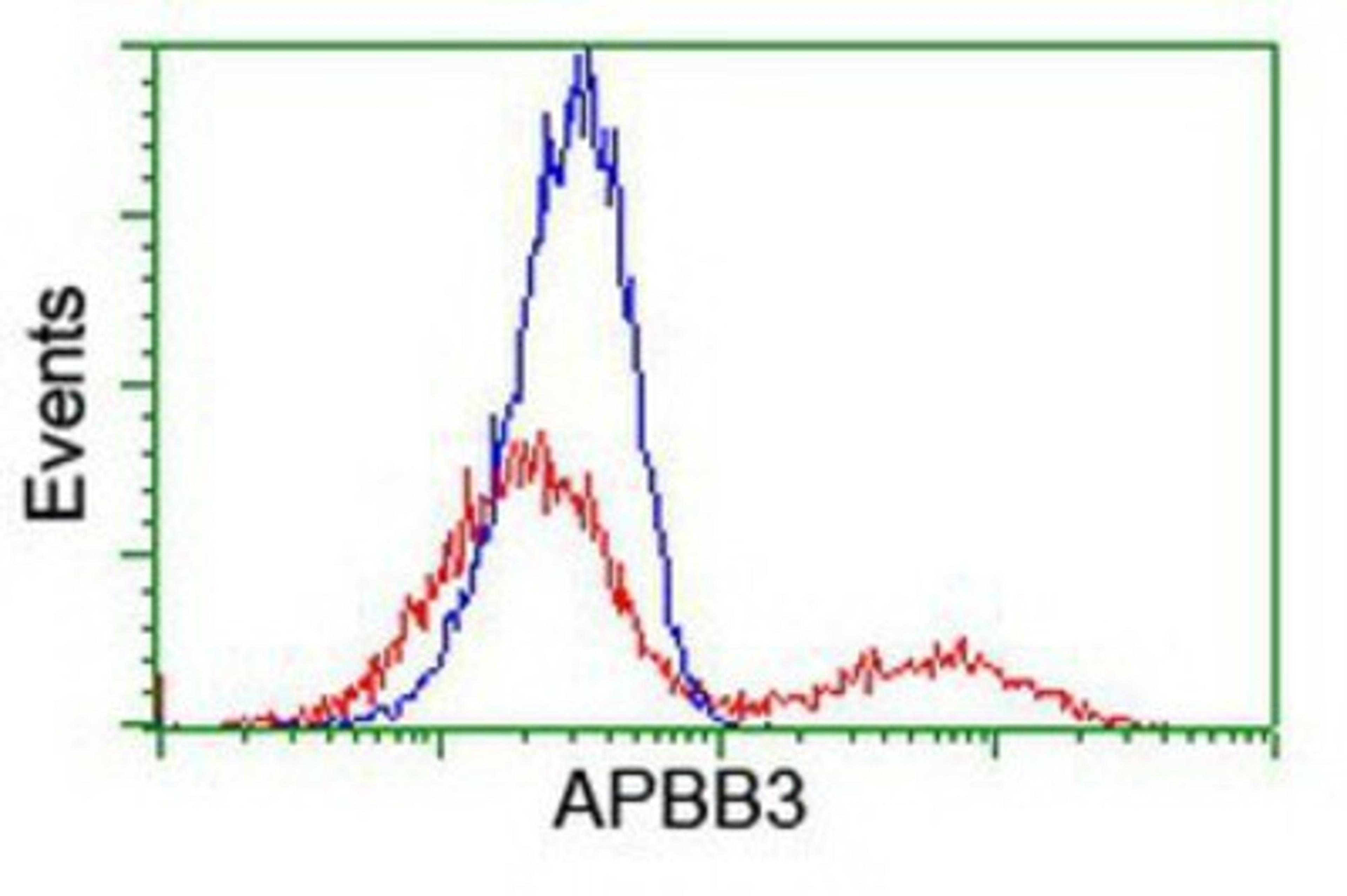 Flow Cytometry: APBB3 Antibody (5G3) [NBP2-01367] - HEK293T cells transfected with either overexpression plasmid (Red) or empty vector control plasmid (Blue) were immunostained by anti-APBB3 antibody, and then analyzed by flow cytometry.