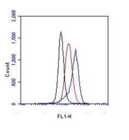 Flow Cytometry: HIF-1 alpha Antibody [NB100-449] - Hela cells were treated for 15 hrs with 200uM CoCl2, fixed in PFA, and permeabilized in 90% MeOH. 1 X 10^6 cells were stained with 0.125ug anti- HIF-alpha and secondary FITC-conjugated goat anti-rabbit (in a 150ul reaction). Black- treated, anti-KLH control IgG; Red- untreated, anti-HIF1-alpha; Blue- treated, anti-HIF1-alpha.