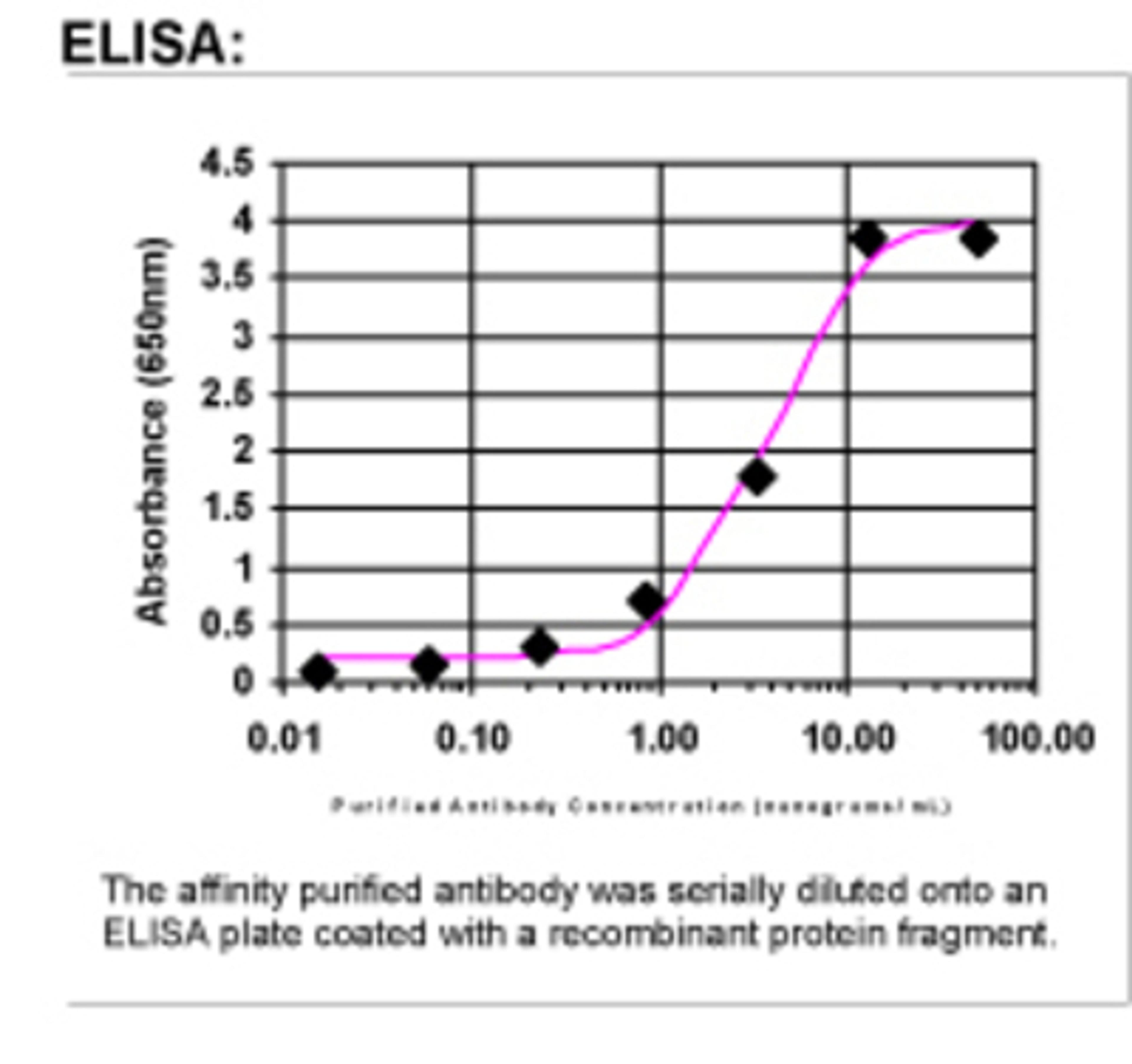 ELISA: RAB22A Antibody [21740002]