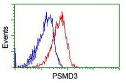 Flow Cytometry: Proteasome 19S S3 Antibody (2A2) [NBP2-01808] - Analysis of Hela cells, using anti-Proteasome 19S S3 antibody, (Red), compared to a nonspecific negative control antibody (Blue).