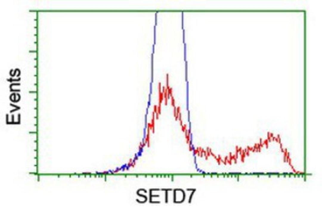 Flow Cytometry: SETD7 Antibody (2D10) [NBP2-01066] - HEK293T cells transfected with either overexpression plasmid (Red) or empty vector control plasmid (Blue) were immunostained by anti-SETD7 antibody, and then analyzed by flow cytometry.