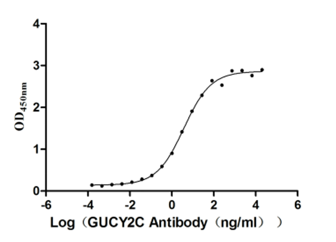 The Binding Activity of Huamn GUCY2C with Anti-GUCY2C recombinant Antibody.. Activity: Measured by its binding ability in a functional ELISA. Immobilized human GUCY2C (CSB-MP010053HUd9) at 5 μg/mL can bind Anti-GUCY2C recombinant antibody, the EC<sub>50</sub> is 3.049-4.660 ng/mL.