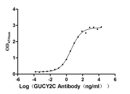 The Binding Activity of Huamn GUCY2C with Anti-GUCY2C recombinant Antibody.. Activity: Measured by its binding ability in a functional ELISA. Immobilized human GUCY2C (CSB-MP010053HUd9) at 5 μg/mL can bind Anti-GUCY2C recombinant antibody, the EC<sub>50</sub> is 3.049-4.660 ng/mL.