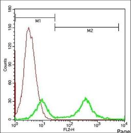 Flow cytometric analysis of 4T1 cell using COMMD10 antibody.