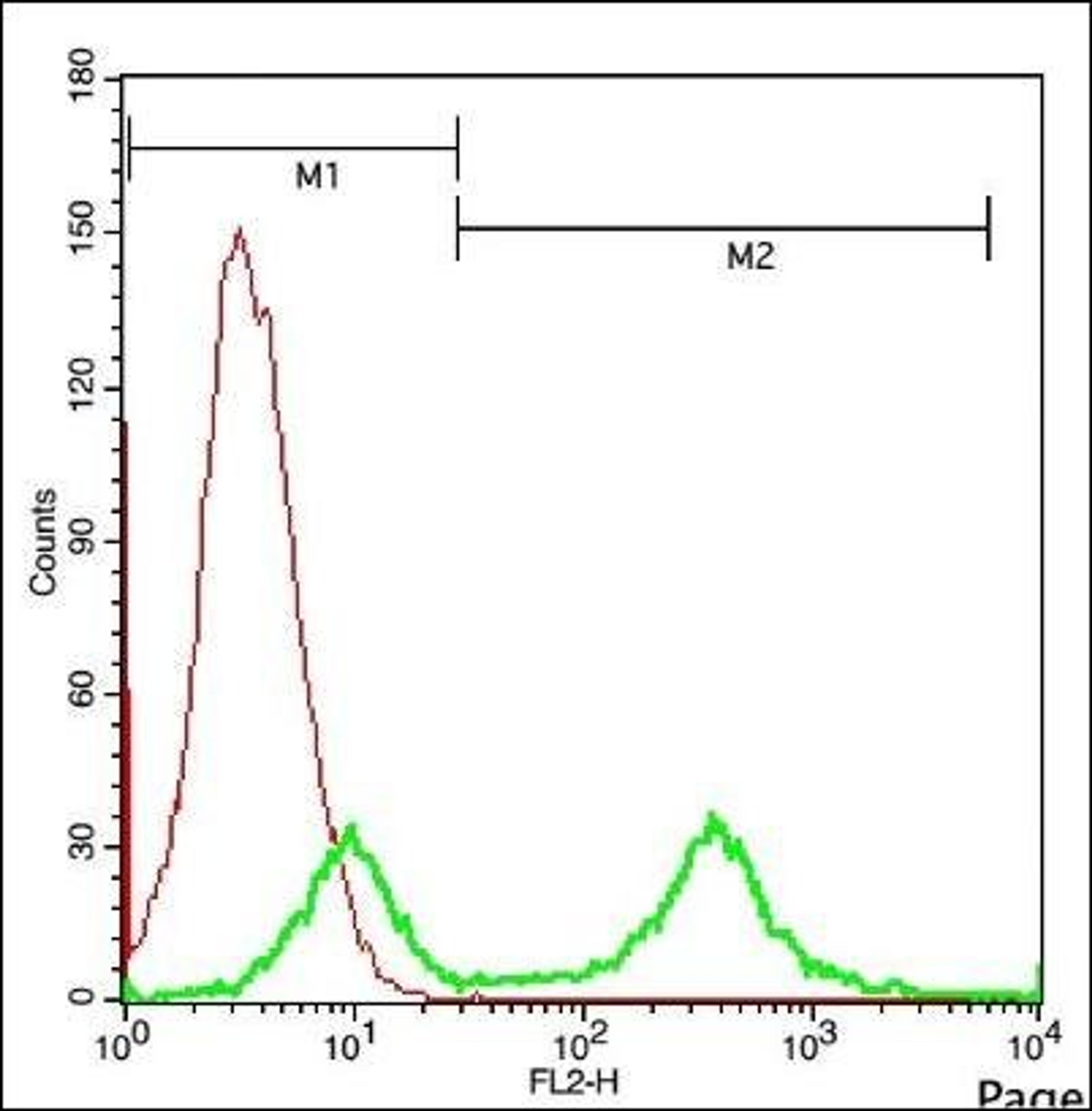 Flow cytometric analysis of 4T1 cell using COMMD10 antibody.