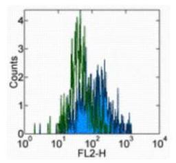 Flow Cytometry: IL15RA Antibody (JM7A4) [NBP1-43238] - Staining of adherent human PBMCs stimulated with LPS and IFN gamma for 24 hours with 0.25 ug of Mouse IgG2b K Isotype Control Purified (NBP1-43317) (open histogram) or 0.25 ug of  Anti-Human IL-15 Receptor Purified (filled histogram) followed by Anti-Mouse IgG Biotin and Streptavidin PE. Cells in the large scatter population were used for analysis.