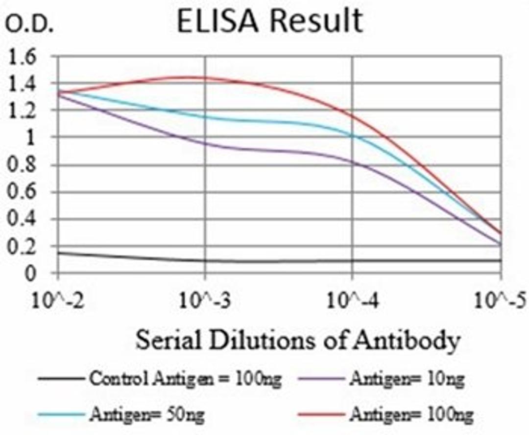 ELISA Black line: Control Antigen (100 ng); Purple line: Antigen(10ng); Blue line: Antigen (50 ng); Red line: Antigen (100 ng)