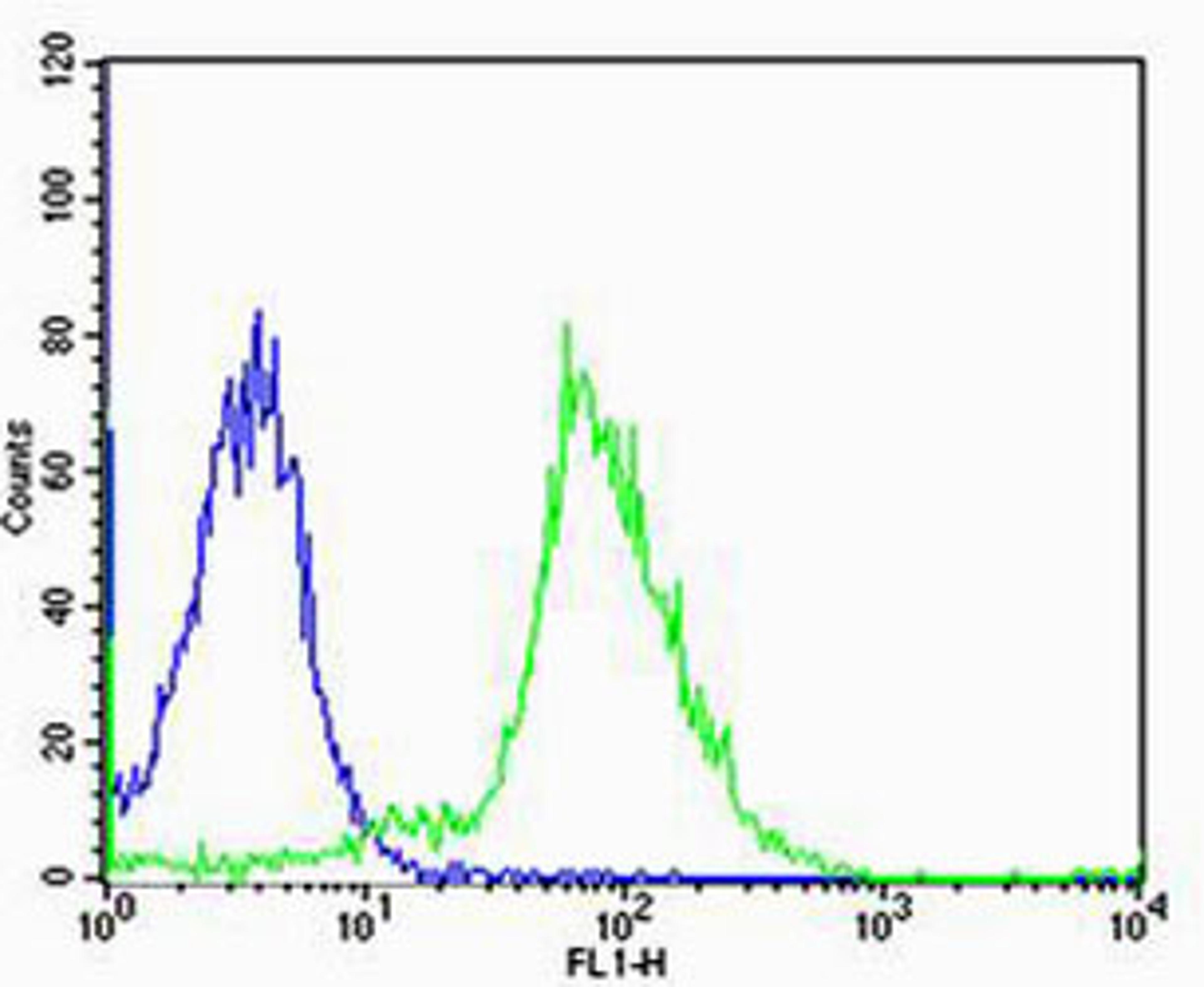 Flow cytometric analysis of MCF-7 cells using GADD45GIP1 Antibody (N-term)(green) compared to an isotype control of rabbit IgG(blue). Antibody was diluted at 1:25 dilution. An Alexa Fluor 488 goat anti-rabbit lgG at 1:400 dilution was used as the secondar