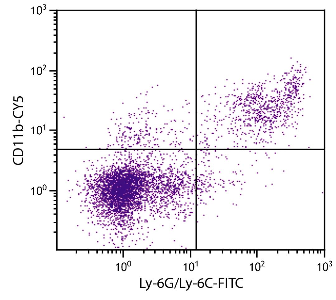 BALB/c mouse splenocytes were stained with Rat Anti-Mouse CD11b-CY5 (Cat. No. 98-639) and Rat Anti-Mouse Ly-6G/Ly-6C-FITC .