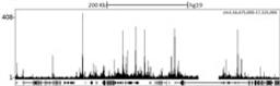 Localization of PCAF Binding Sites by ChIP-sequencing.