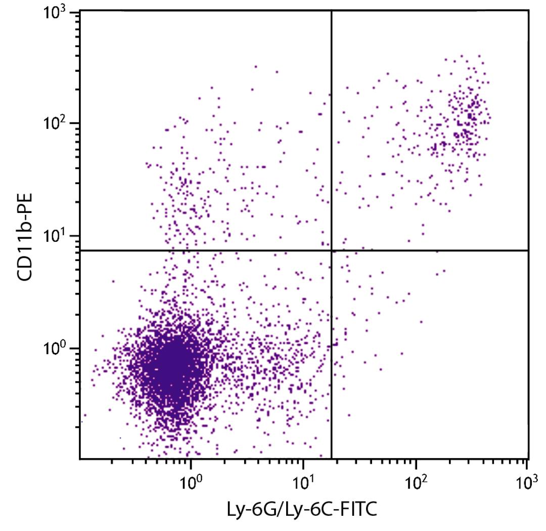 BALB/c mouse splenocytes were stained with Rat Anti-Mouse CD11b-PE (Cat. No. 98-645) and Rat Anti-Mouse Ly-6G/Ly-6C-FITC .