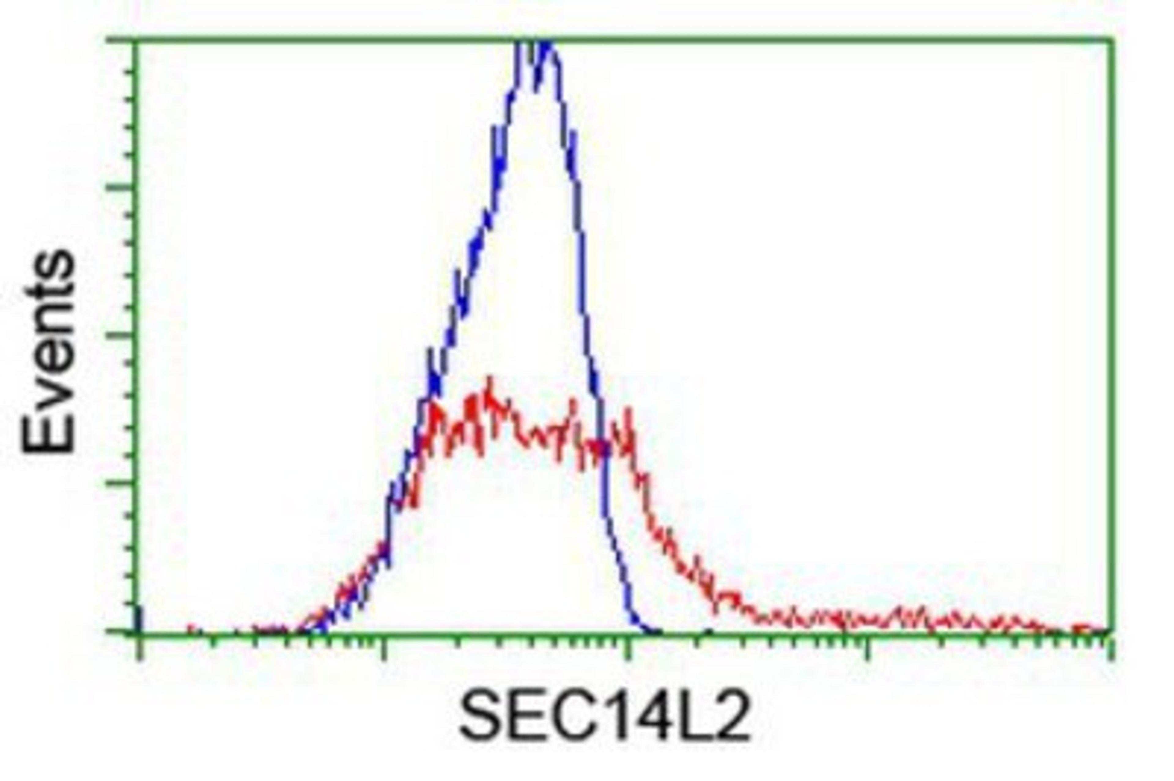 Flow Cytometry: SEC14L2 Antibody (4H2) [NBP2-01346] - HEK293T cells transfected with either overexpression plasmid (Red) or empty vector control plasmid (Blue) were immunostained by anti-SEC14L2 antibody, and then analyzed by flow cytometry.