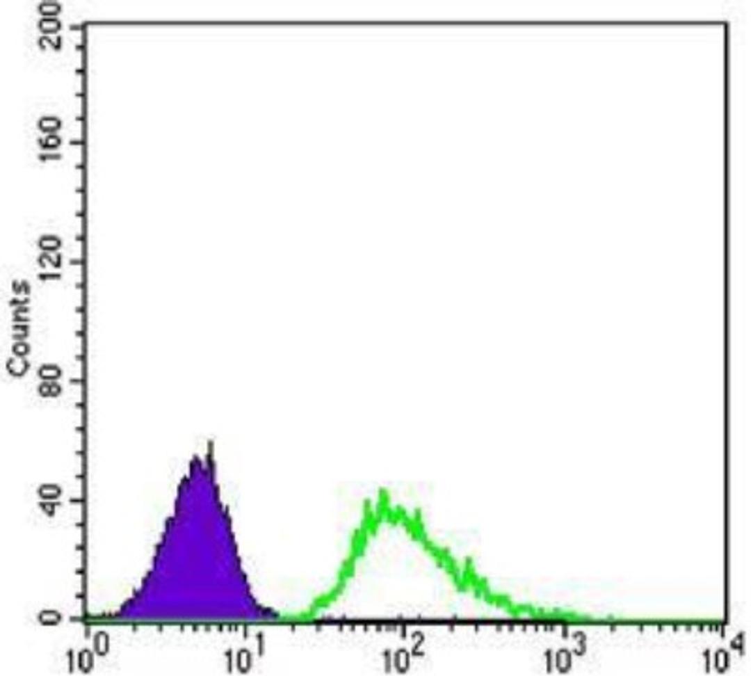 Flow Cytometry: beta-III Tubulin Antibody (2E9) [NBP1-42568] - Analysis of A549 cells using anti-Tubulin Beta 3 mAb (green) and negative control (purple).