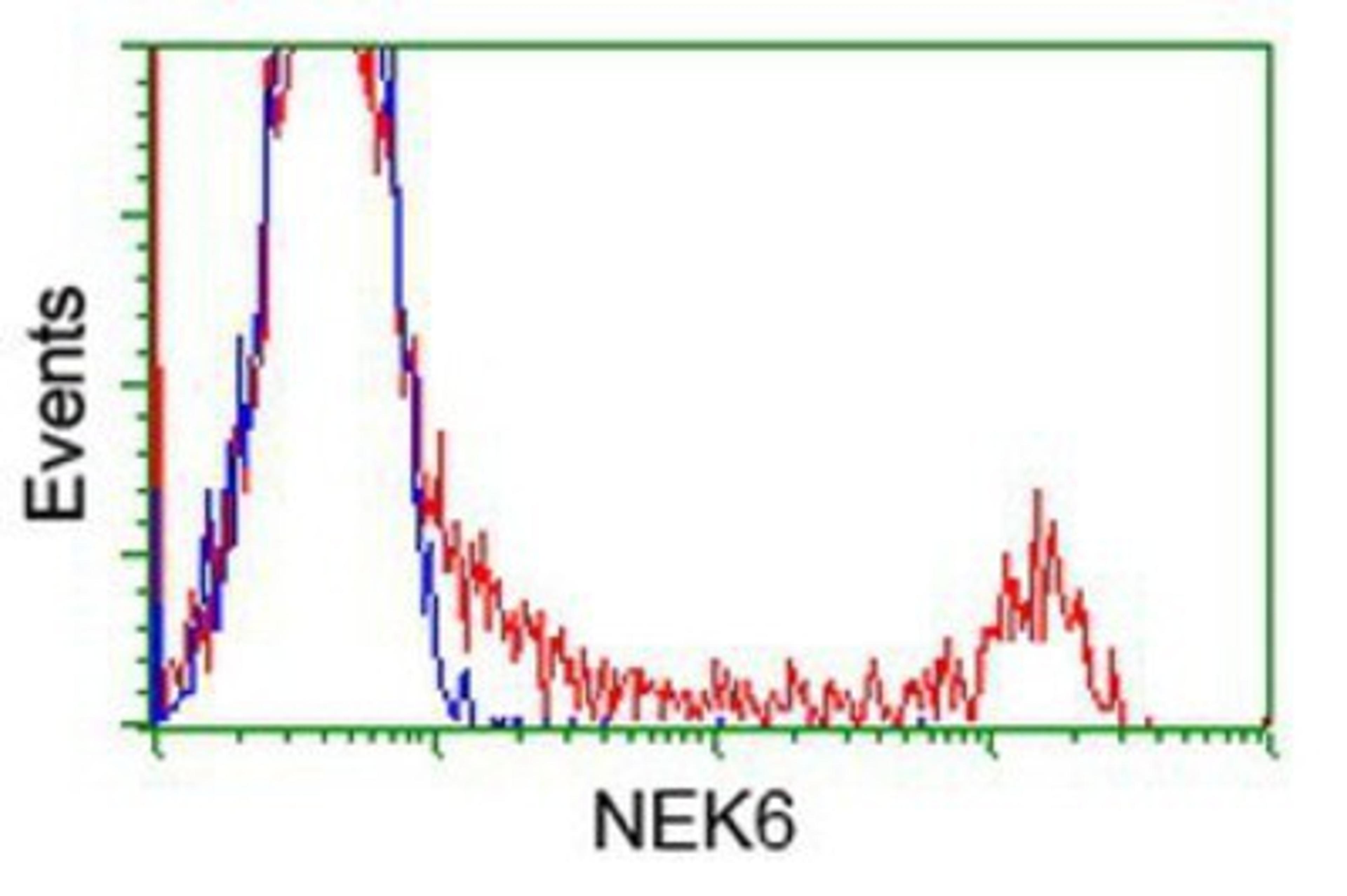 Flow Cytometry: NEK6 Antibody (5D7) [NBP1-47865] - HEK293T cells transfected with either overexpression plasmid (Red) or empty vector control plasmid (Blue) were immunostained by anti-NEK6 antibody, and then analyzed by flow cytometry.