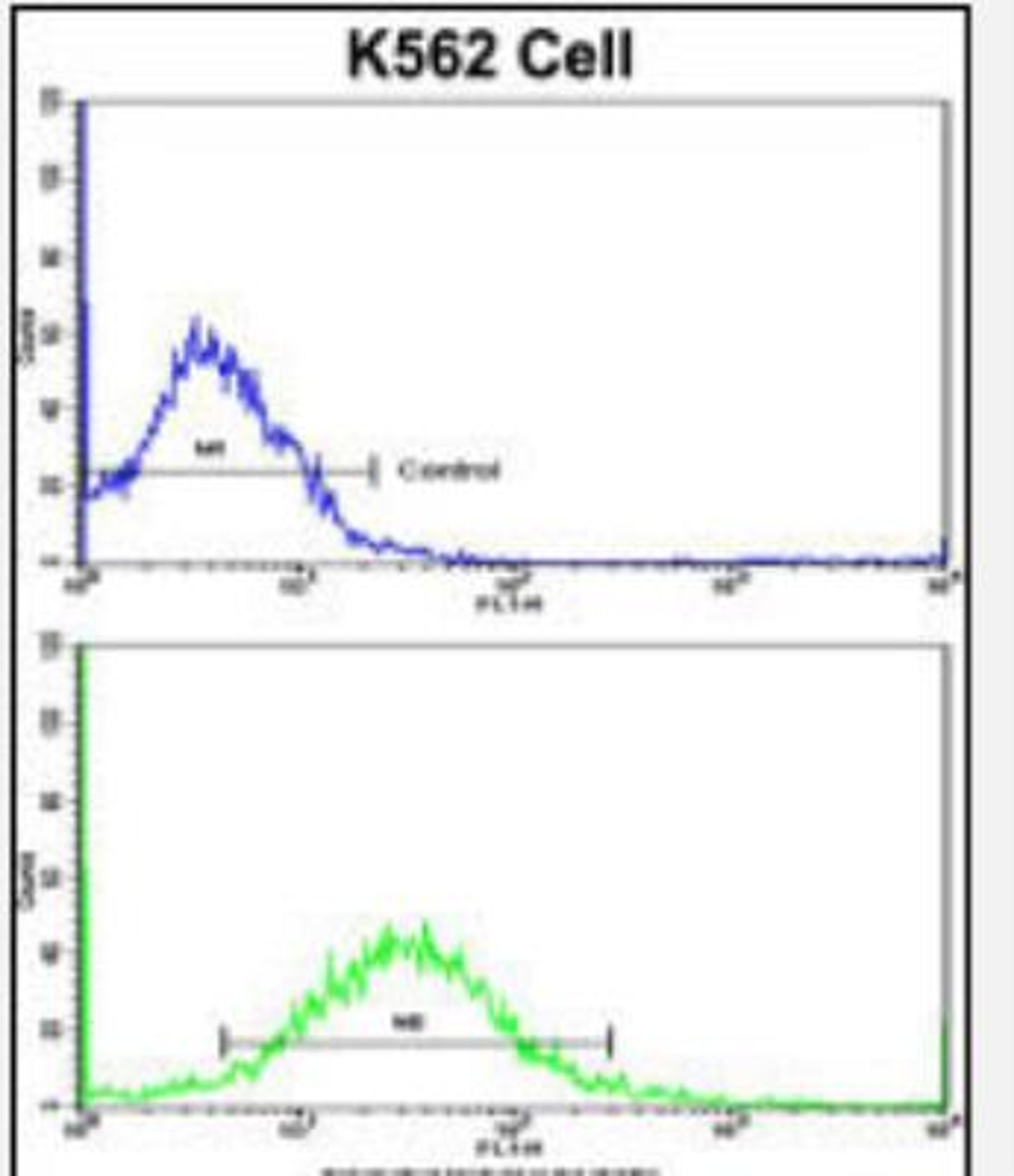 Flow Cytometry: SCAP Antibody [NBP2-29930] - K562 cells using (Center)(bottom histogram) compared to a negative control cell (top histogram). FITC-conjugated goat-anti-rabbit secondary antibodies were used for the analysis.