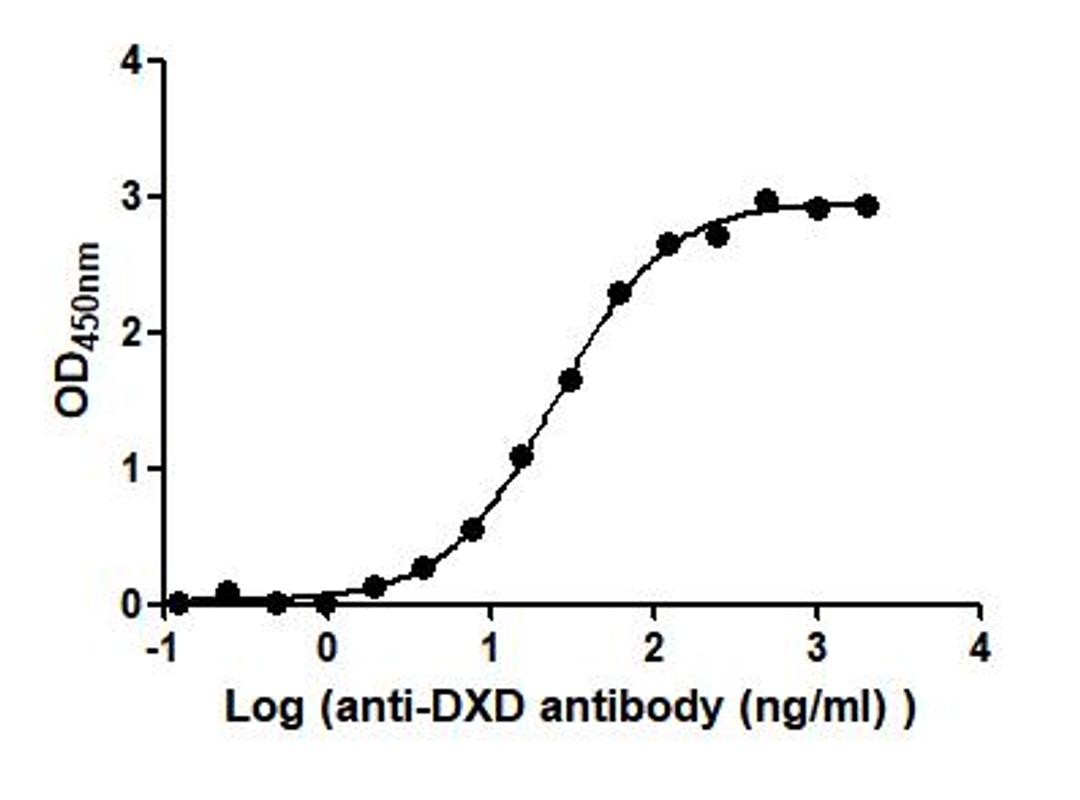 The Binding Activity of DXD-BSA with Anti-DXD antibody. Activity: Measured by its binding ability in a functional ELISA. Immobilized DXD-BSA at 2 μg/mL can bind Anti-DXD antibody, the EC<sub>50</sub> is 22.68 to 27.25 ng/mL.
