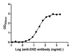 The Binding Activity of DXD-BSA with Anti-DXD antibody. Activity: Measured by its binding ability in a functional ELISA. Immobilized DXD-BSA at 2 μg/mL can bind Anti-DXD antibody, the EC<sub>50</sub> is 22.68 to 27.25 ng/mL.