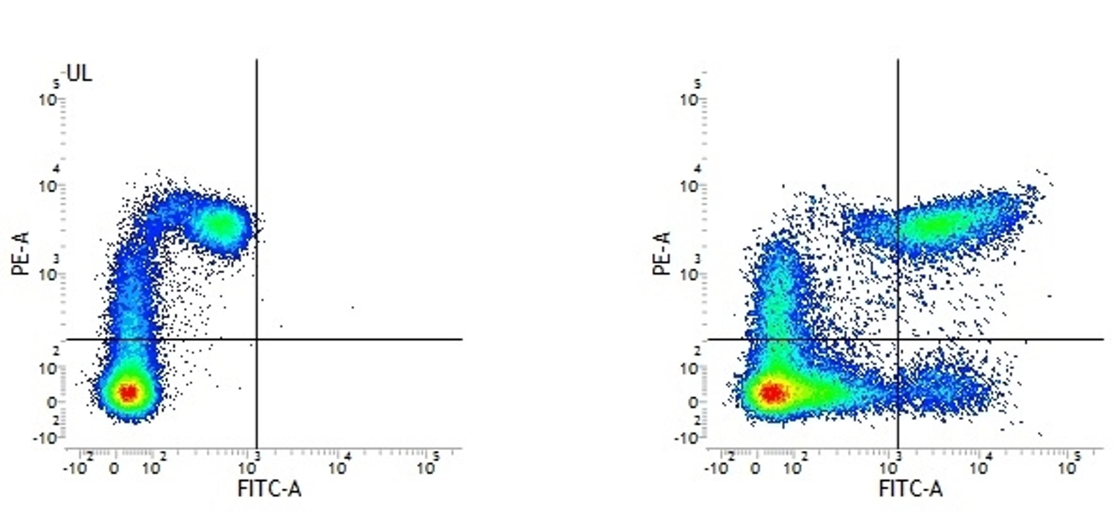 A. Mouse anti Human CD11c. B. Mouse anti Human CD11c and Mouse anti Human HLA DP/DQ/DR. 