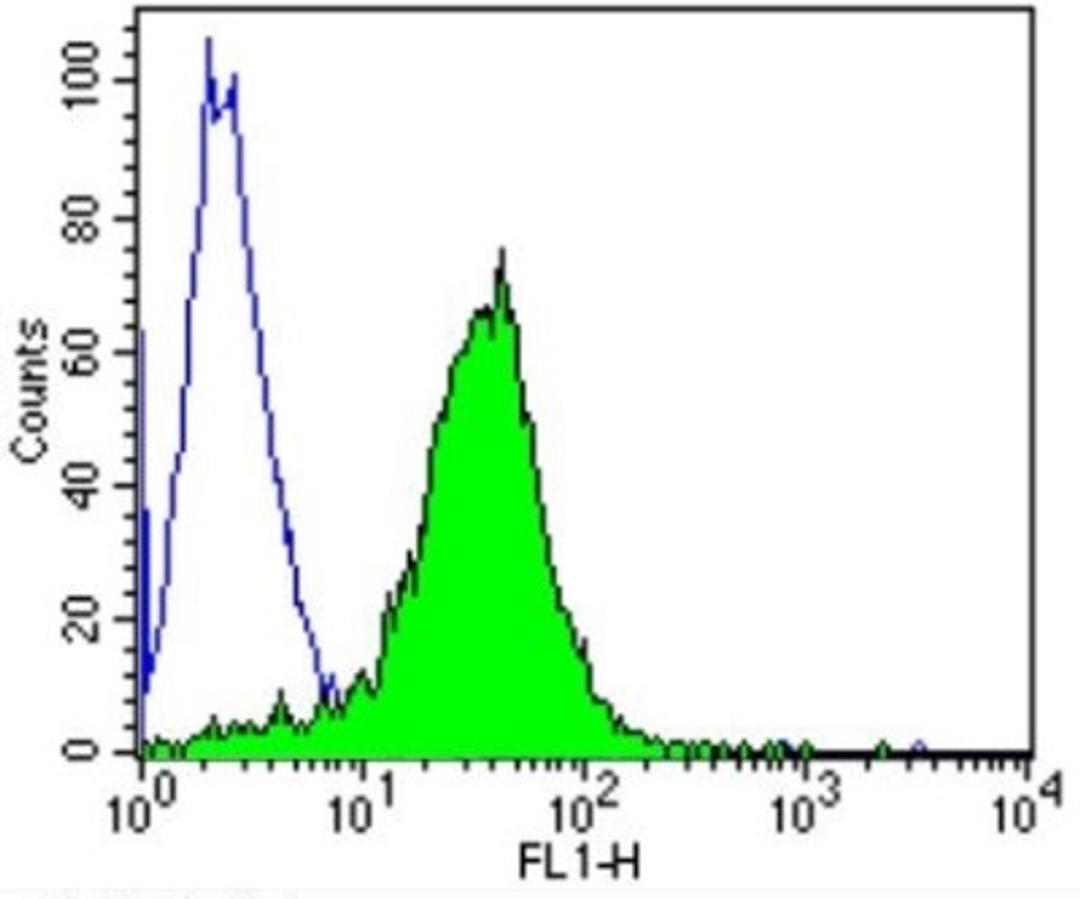 Flow Cytometry: TCR V beta 5b Antibody (W112) [NBP2-22500] - Analysis of TCR V beta 5b in Jurkat cells (green) compared to an isotype control (blue).