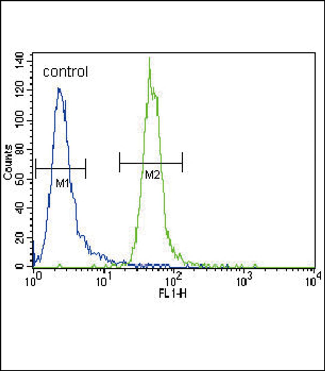 Flow cytometric analysis of CEM cells (right histogram) compared to a negative control cell (left histogram).FITC-conjugated goat-anti-rabbit secondary antibodies were used for the analysis.