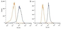 Flow Cytometry: Synuclein-alpha [Nitrate Tyr125, Nitrate Tyr133] Antibody (24.8) [NBP1-26380] -  Intracellular flow cytometric staining of 1 x 10^6 CHO (A) and HeLa (B) cells using Synuclein-alpha  [Nitrate Tyr125, Nitrate Tyr133] antibody (dark blue). Isotype control shown in orange. An antibody concentration of 1 ug/1x10^6 cells was used.