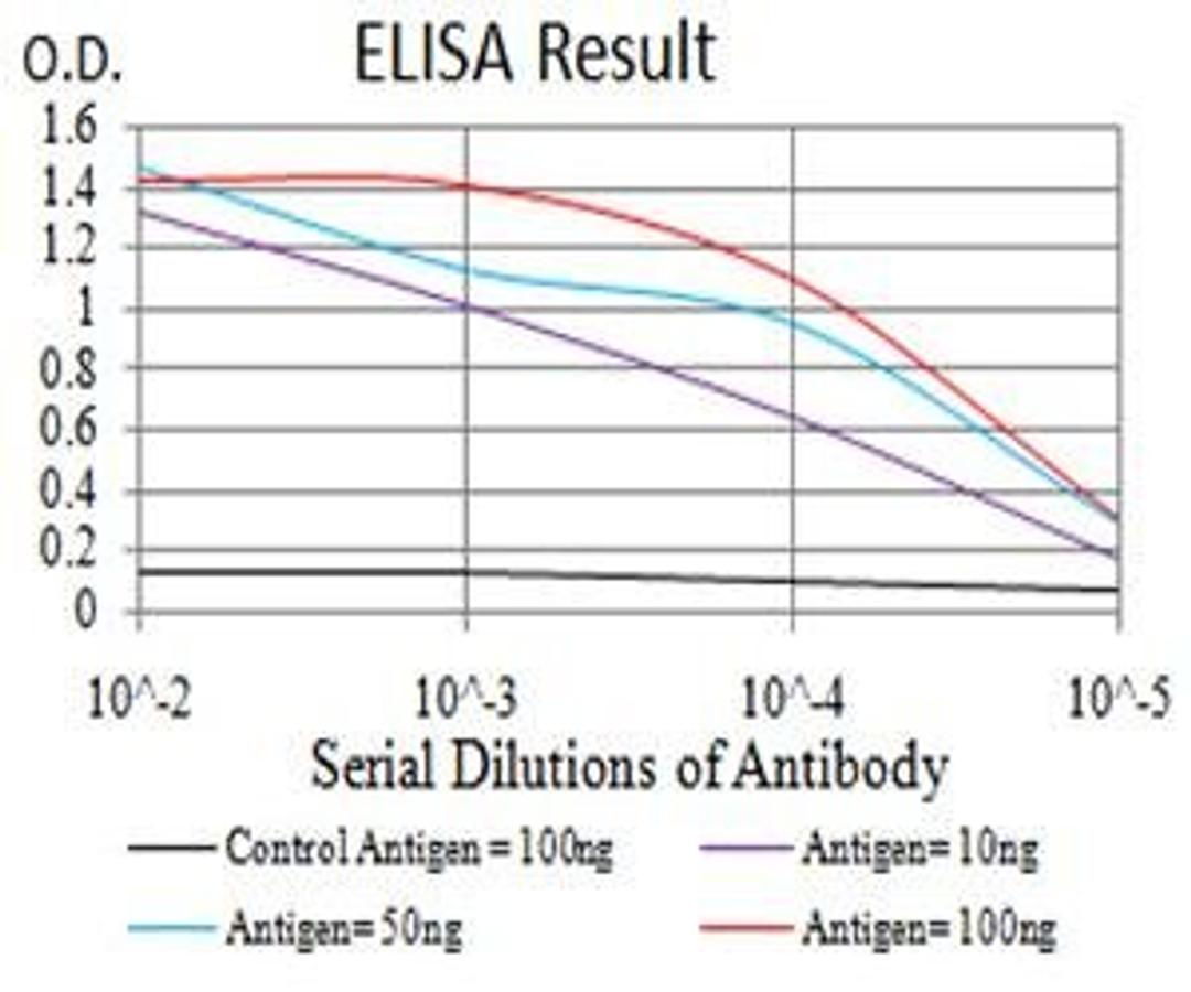 Line graph illustrates about the Ag-Ab reactions using different concentrations of antigen and serial dilutions of DDX58 antibody