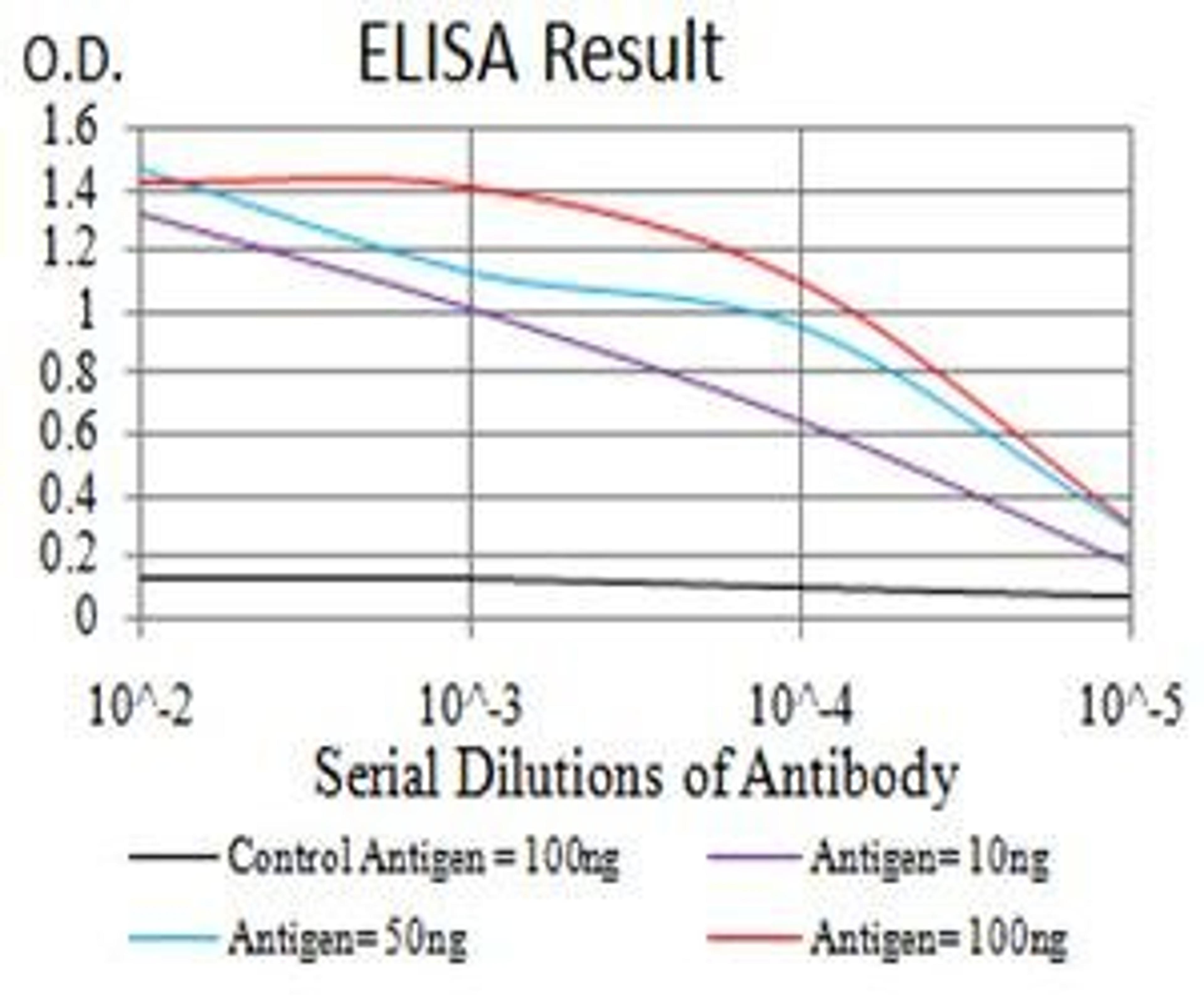 Line graph illustrates about the Ag-Ab reactions using different concentrations of antigen and serial dilutions of DDX58 antibody