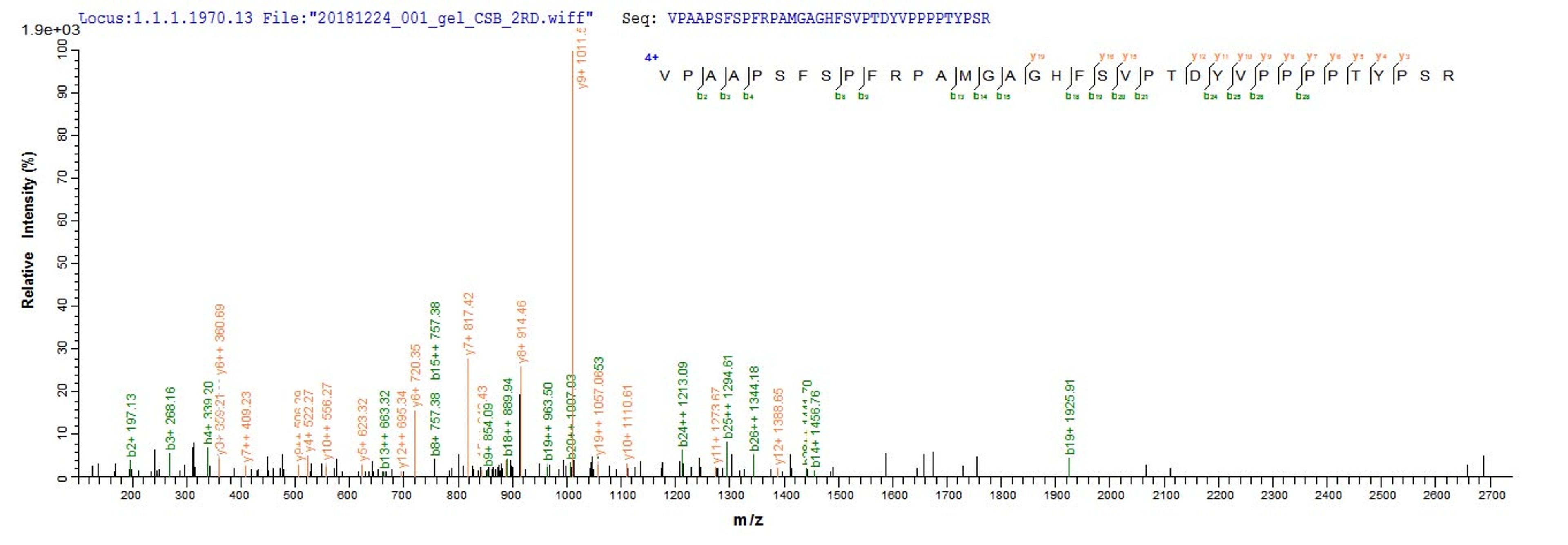 Based on the SEQUEST from database of E.coli host and target protein, the LC-MS/MS Analysis result of CSB-EP704737MO could indicate that this peptide derived from E.coli-expressed Mus musculus (Mouse) Zc3h12a.