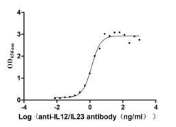 The Binding Activity of IL12B&IL12A with Anti-IL12/IL23 monoclonal antibody. Activity: Measured by its binding ability in a functional ELISA. Immobilized Human IL12B&IL12A (CSB-MP4155HU) at 1 μg/mL can bind Anti-IL12/IL23 recombinant antibody, the EC<sub>50</sub> is 1.042-1.545 ng/mL.
