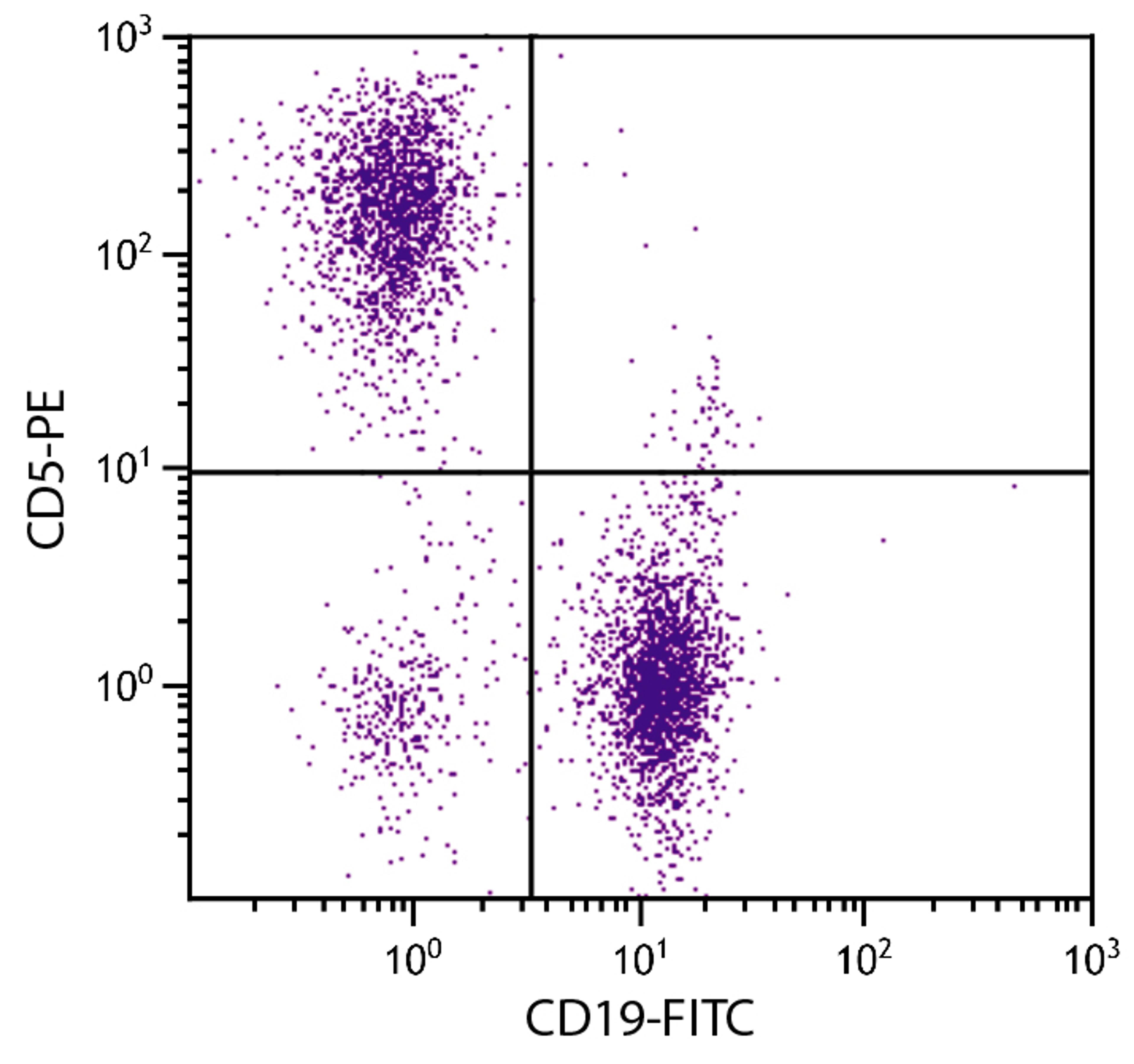 BALB/c mouse splenocytes were stained with Rat Anti-Mouse CD5-PE (Cat. No. 98-611) and Rat Anti-Mouse CD19-FITC .