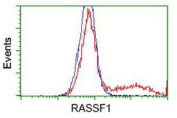 Flow Cytometry: RASSF1 Antibody (2B11) [NBP2-03644] - HEK293T cells transfected with either overexpression plasmid (Red) or empty vector control plasmid (Blue) were immunostained by anti-RASSF1 antibody, and then analyzed by flow cytometry.