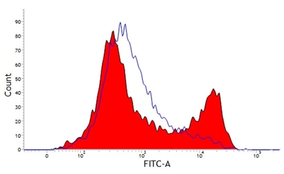 Staining of bovine peripheral blood lymphocytes