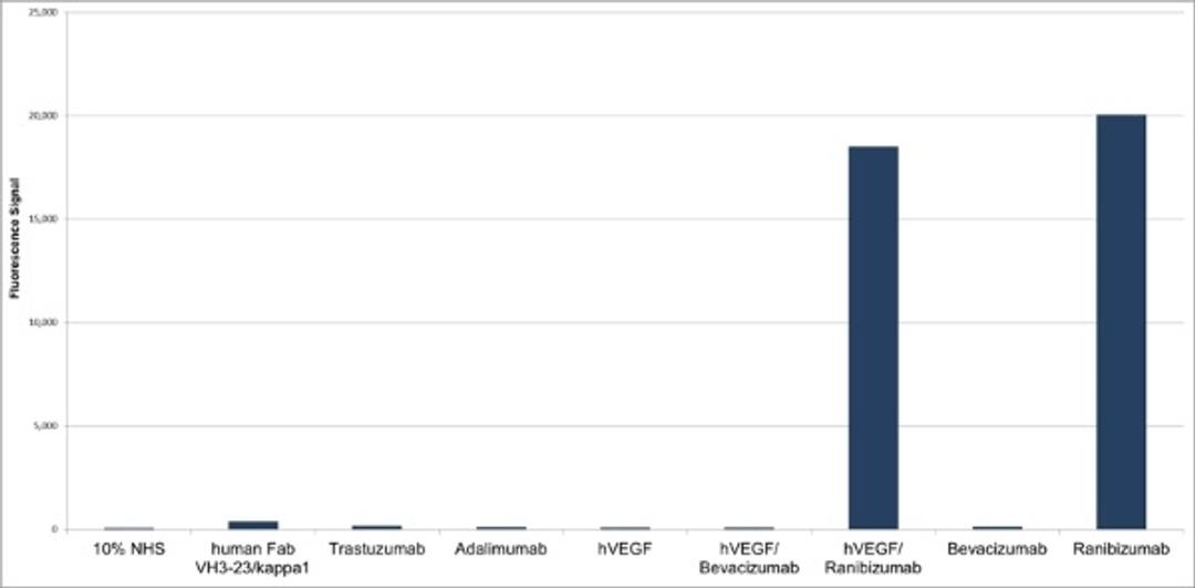 Human Anti-Ranibizumab Antibody specificity titration ELISA