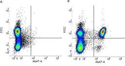 Figure A. mouse anti human CD3. Figure B. mouse anti human CD3 and mouse anti human CD4. 