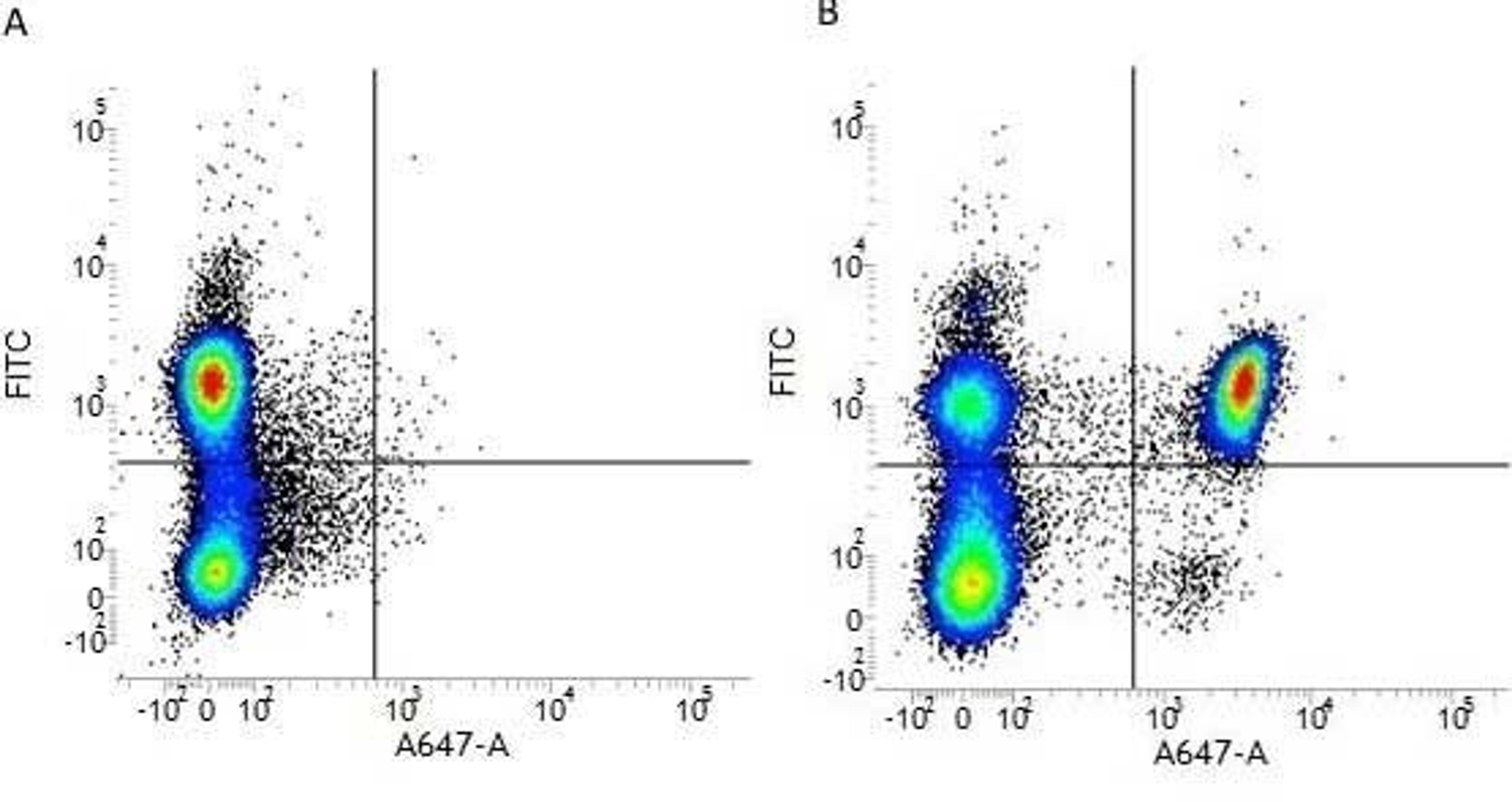 Figure A. mouse anti human CD3. Figure B. mouse anti human CD3 and mouse anti human CD4.