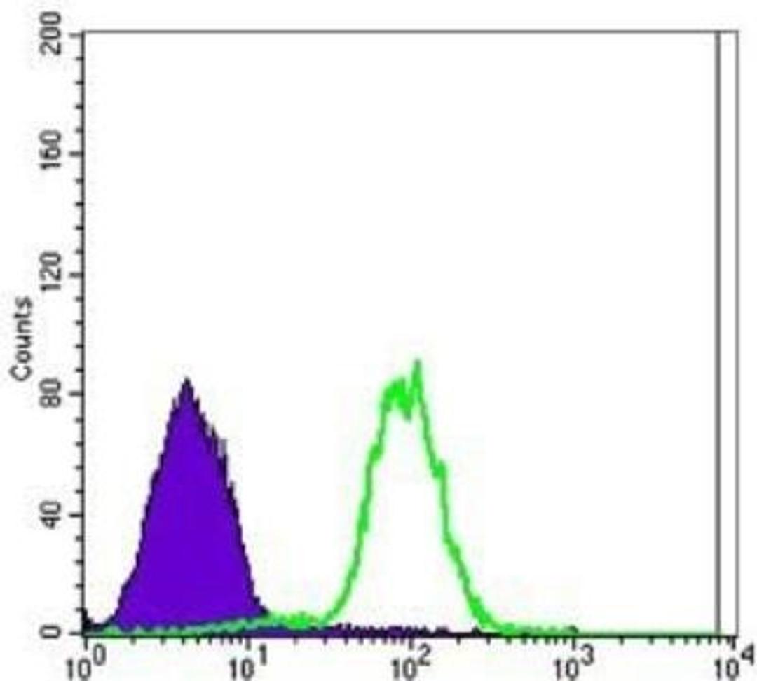 Flow Cytometry: Carbonic Anhydrase IX/CA9 Antibody (2D3) [NBP1-51691] - Analysis of NTERA-2 cells using Carbonic Anhydrase IX mouse mAb (green) and negative control (purple).