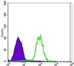 Flow Cytometry: Carbonic Anhydrase IX/CA9 Antibody (2D3) [NBP1-51691] - Analysis of NTERA-2 cells using Carbonic Anhydrase IX mouse mAb (green) and negative control (purple).