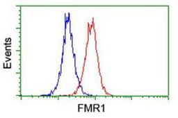 Flow Cytometry: FMRP Antibody (1C6) [NBP2-01770] - Analysis of Jurkat cells, using anti-FMRP antibody, (Red), compared to a nonspecific negative control antibody (Blue).