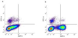 Figure A. mouse anti human CD19. Figure B. mouse anti human CD19 and mouse anti human CD10. 